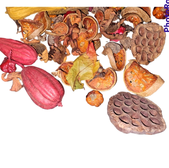 Dried Various Items Aprox 50 Items ( 1" to 4" each) - Picture 6 of 7